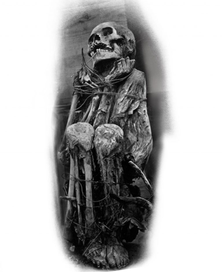 Robi